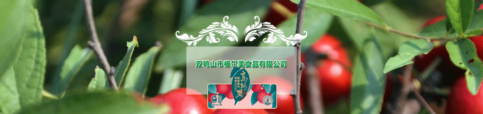 關(guān)于我們